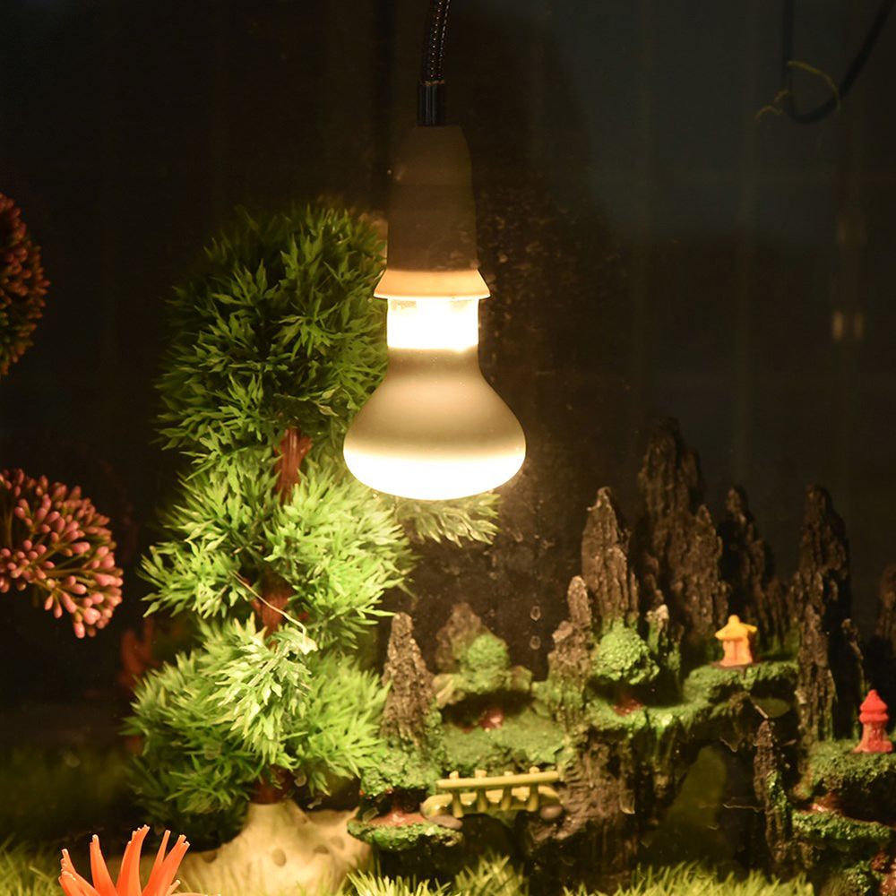 Basking Bulb Halogen - Amfibieën Verwarmingslamp UVA-licht Zonnebadlamp Reptielen Halogeenlamp