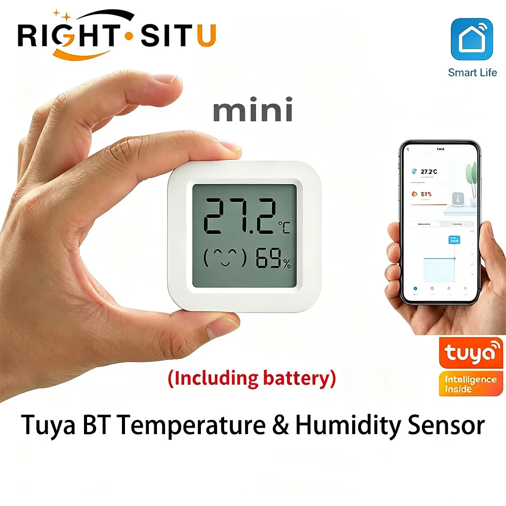 Digital Hygrometer Probe - Tuya temperatuur-vochtigheidssensor Mini LCD digitaal display