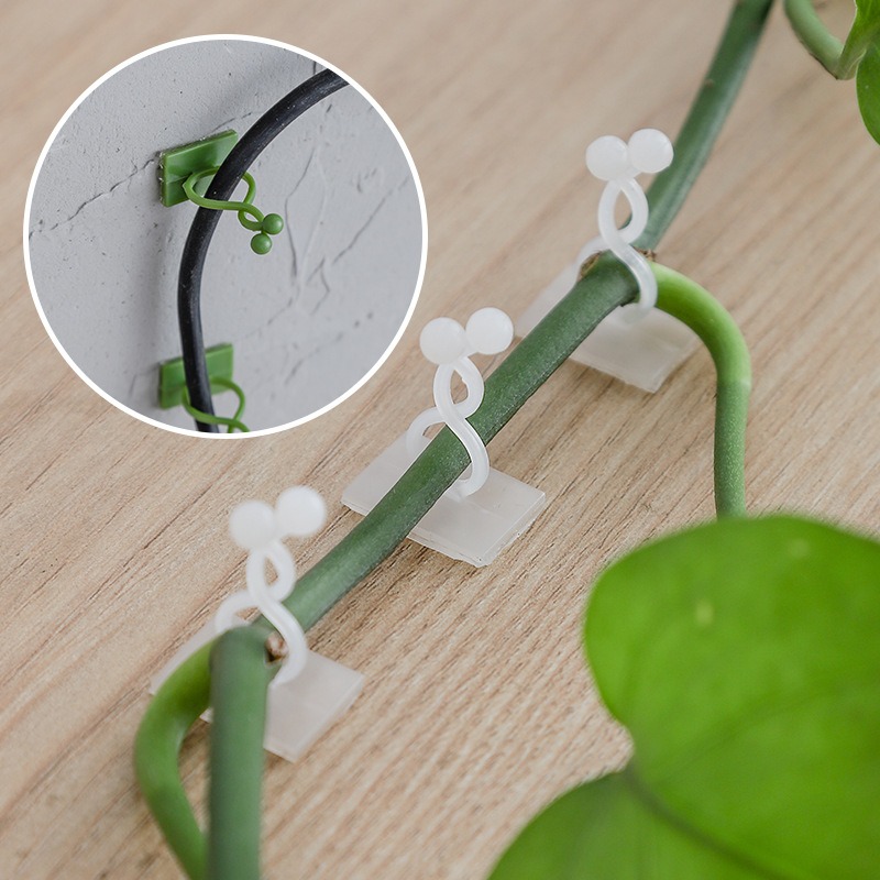 Vine Climbing Plastic - 10 stuks plantenmuurbevestigingshaken universele wijnstokklimhouder huishoudelijke