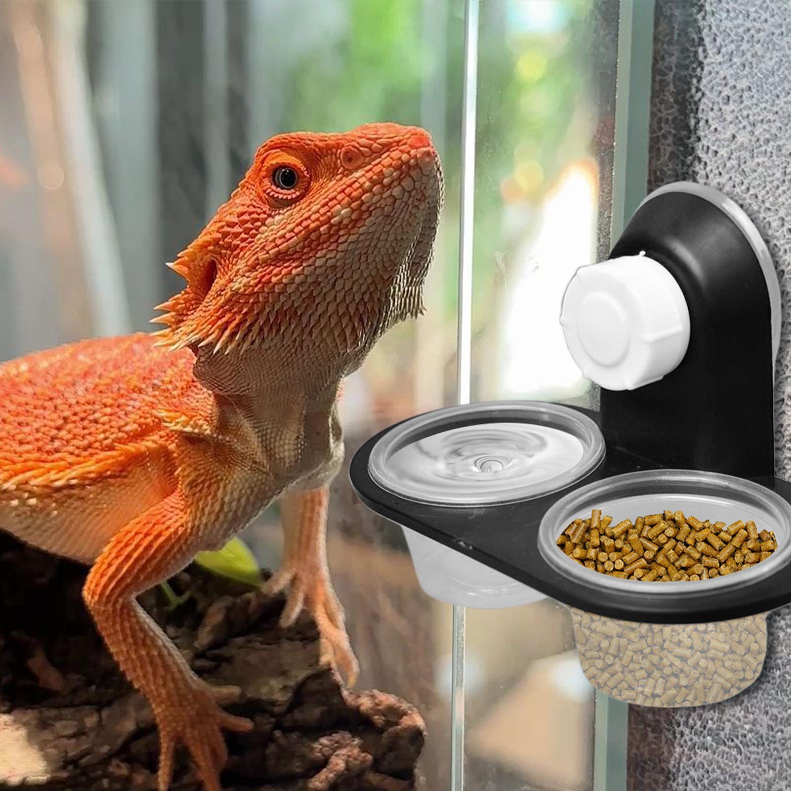 Water Dish Reptile - Gecko Voedselbak Gecko Waterbak Dispenser met