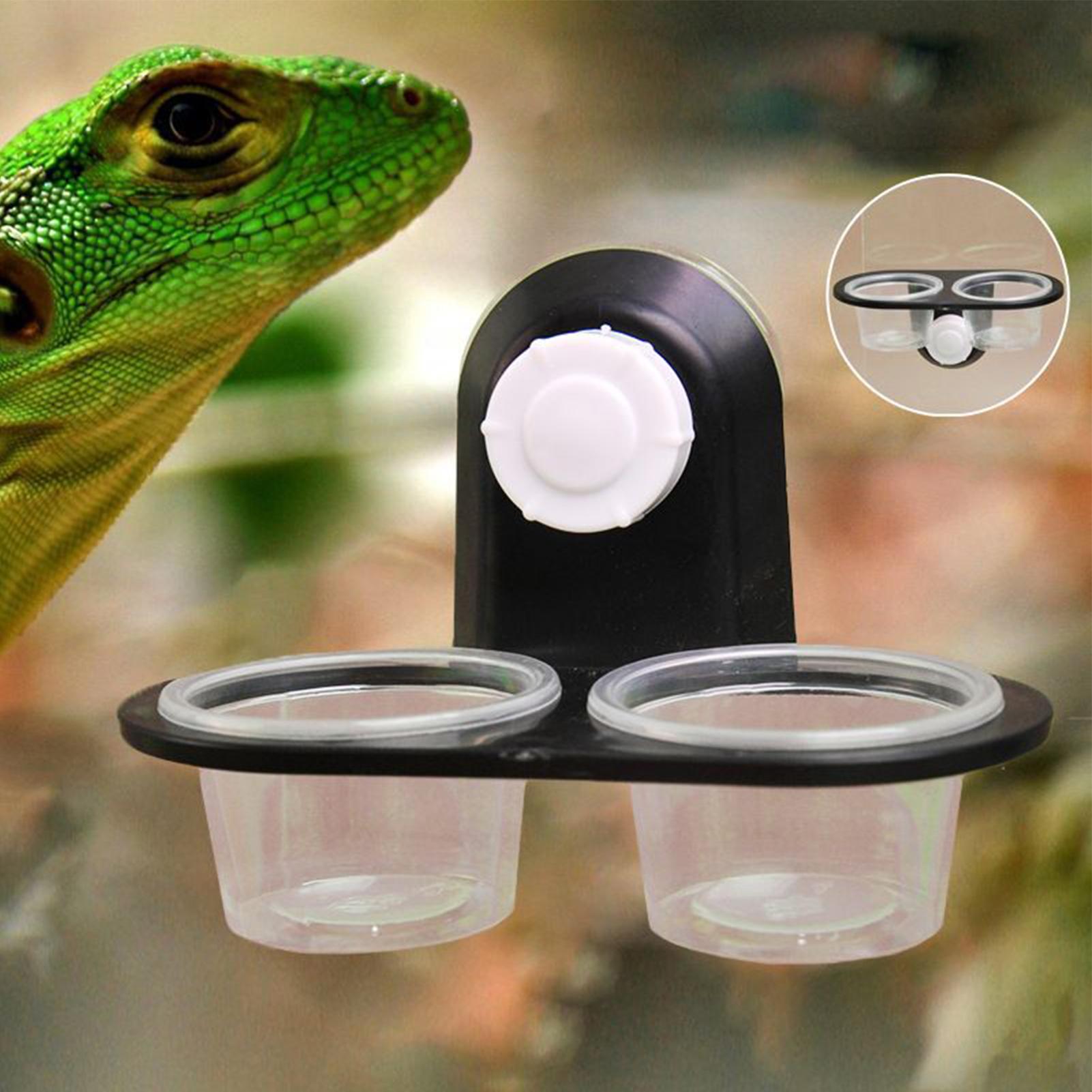 Water Dish Reptile - Gecko Voedselbak Gecko Voederbekers Dispenser Gemakkelijk