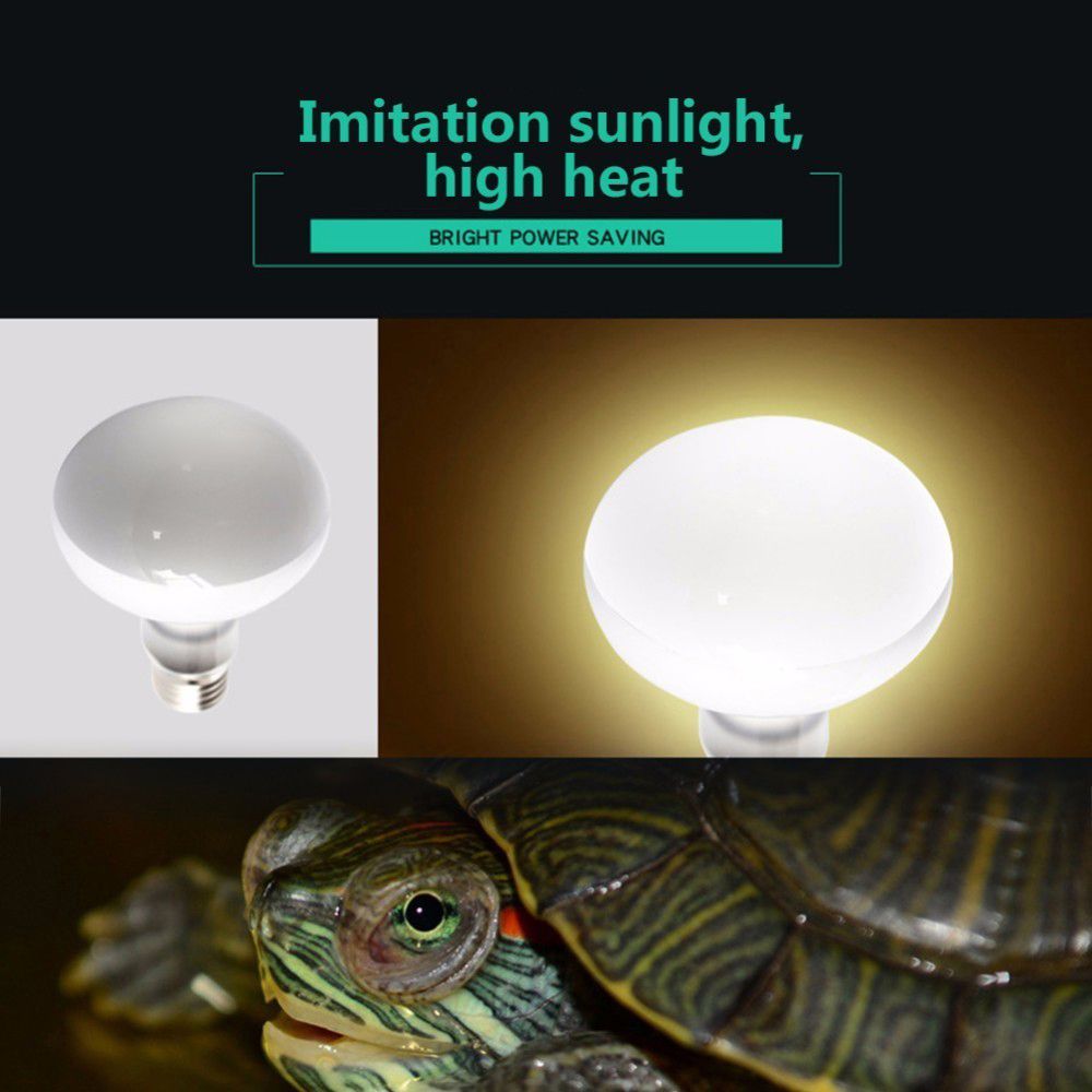 Basking Bulb Halogen - Schildpadverwarmer Temperatuurregelaar Reptiel UVA-lamp Halogeenlamp Zonnebadlamp