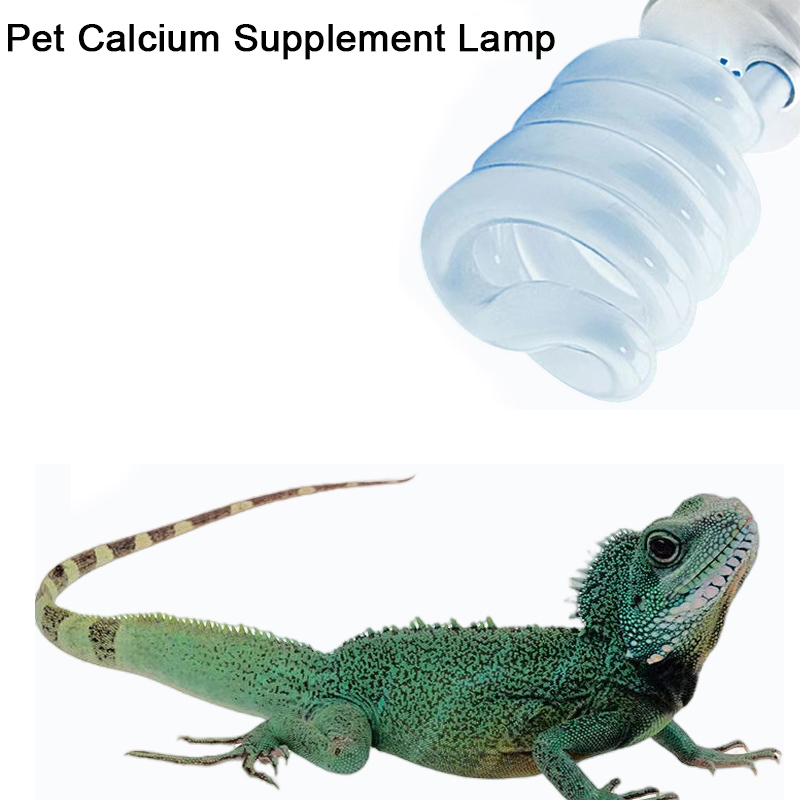Calcium Powder Reptile - E27 13W/26W Reptiel Uvb Lamp Calcium
