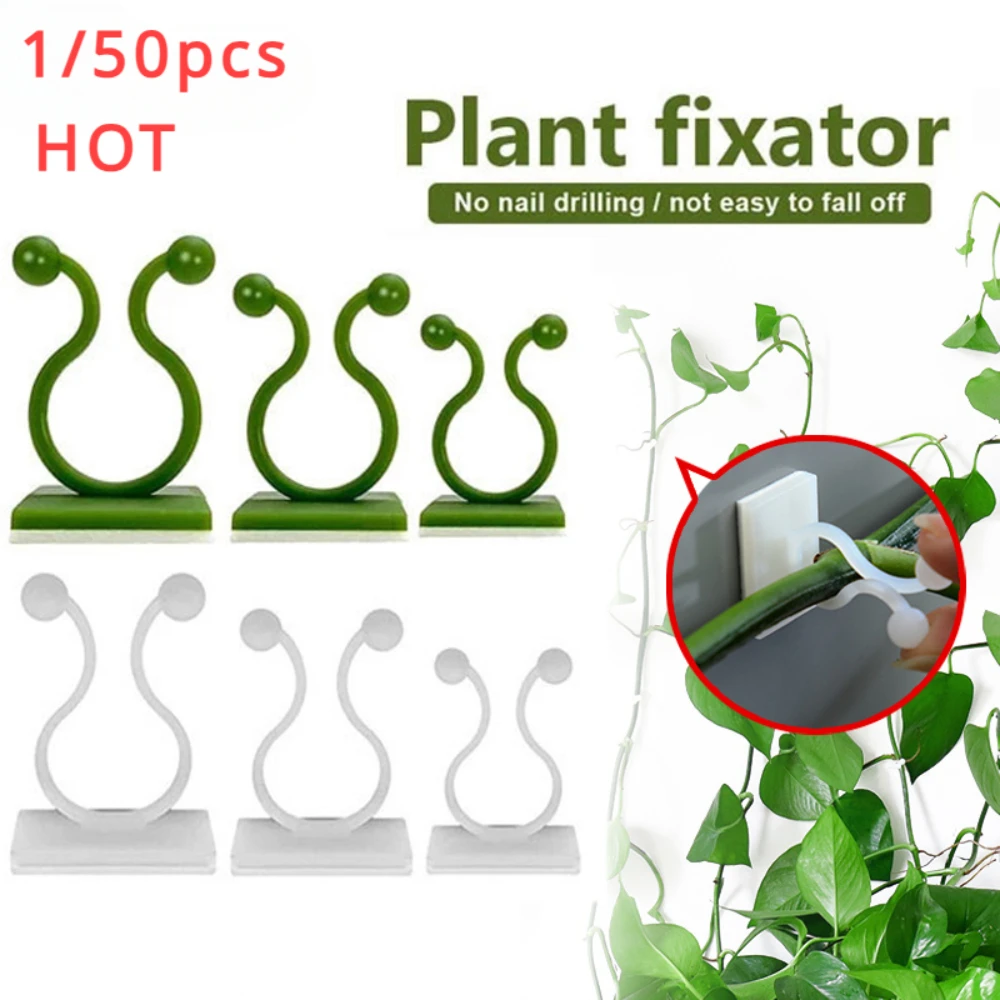 Vine Climbing Plastic - 1/30/50 Stuks Voor Tuin Accessoires Plant