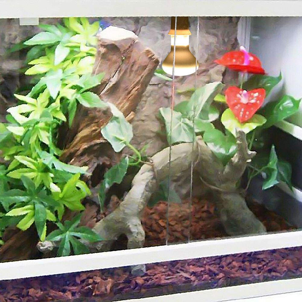 Basking Bulb Halogen - Schildpad Temperatuurregelaar Verwarming UVA Licht Reptiel