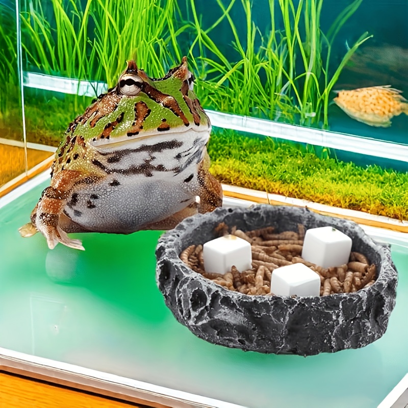 Calcium Powder Reptile - 6 Stuks Aquarium Calcium Blok Mineralen