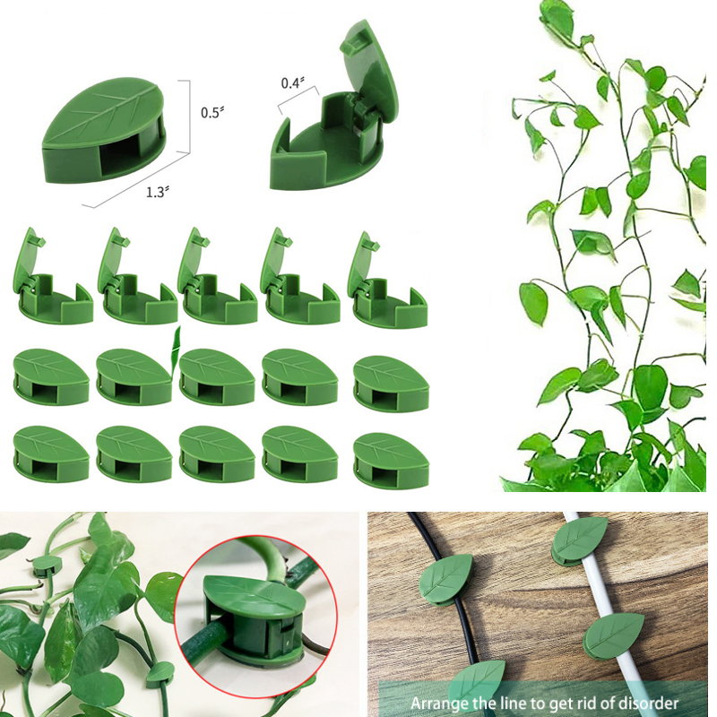 Vine Climbing Plastic - Onzichtbare plantenklimwandarmatuur Rotan wijnstokbeugel Vaste gesp