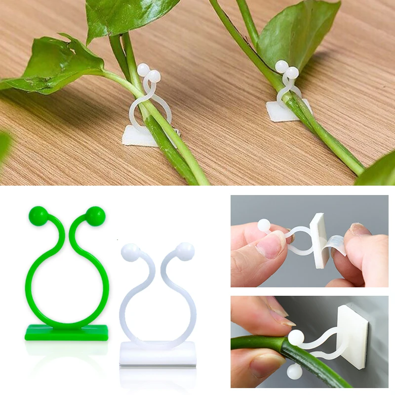 Vine Climbing Plastic - Plant Klimmuur Zelfklevende Vaste Gesp Haak