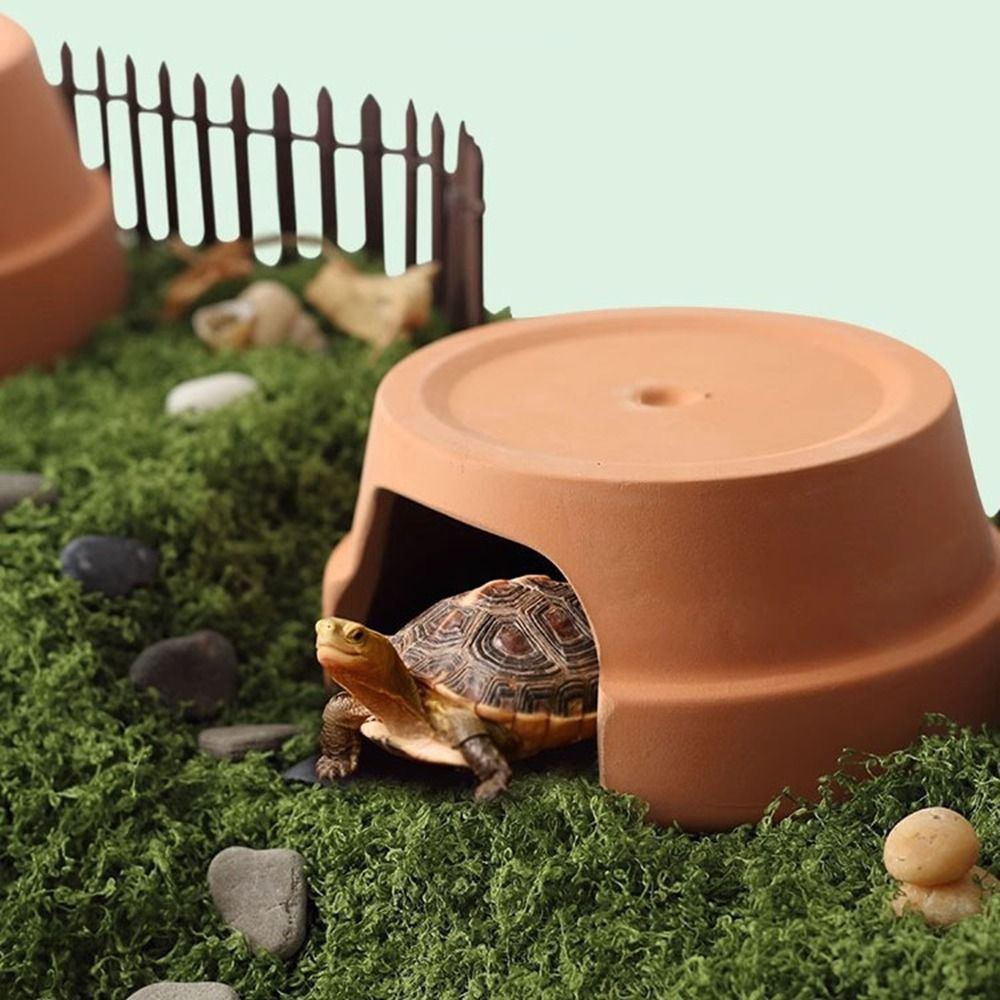 Multifunctionele keramische re - Hide Cave Ceramic recensie en prijs