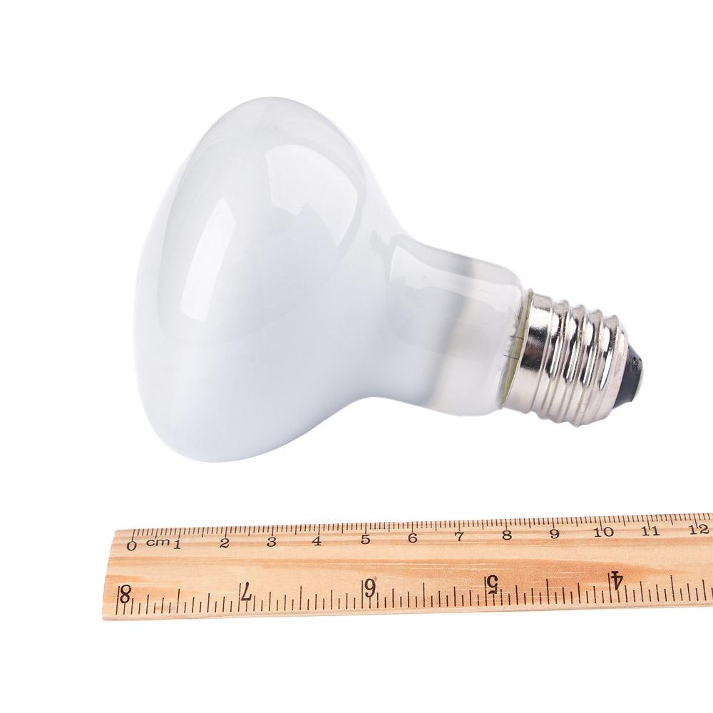 Hagedisverwarmer warmtelamp UV - Basking Bulb Halogen recensie en prijs