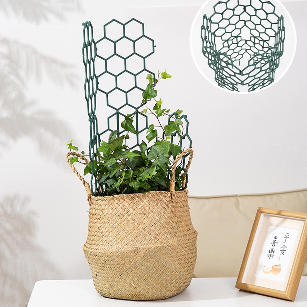 1/2/5 Stuks Plastic Plant Onde - Vine Climbing Plastic recensie en prijs