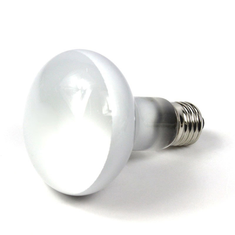 Hagedisverwarmer Temperatuurre - Basking Bulb Halogen recensie en prijs