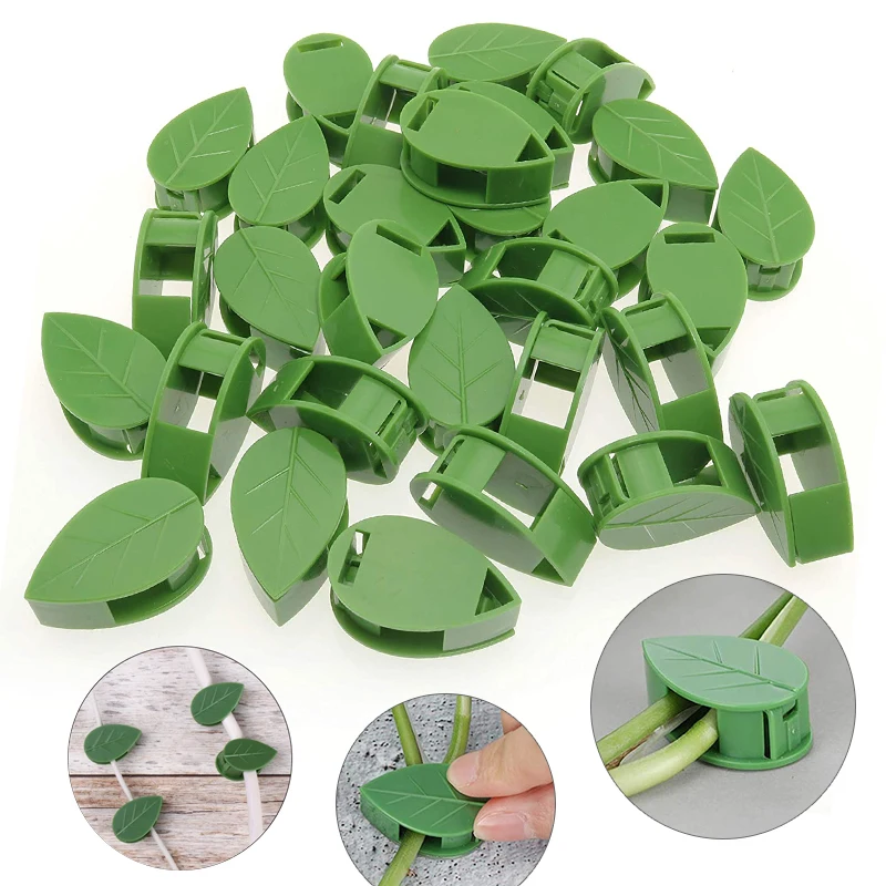 1-50 stuks onzichtbare plant m - Vine Climbing Plastic recensie en prijs