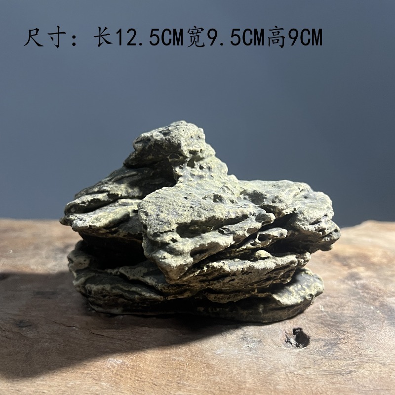 Schildpad-zonnebankplaatsje, k - Hide Cave Ceramic recensie en prijs