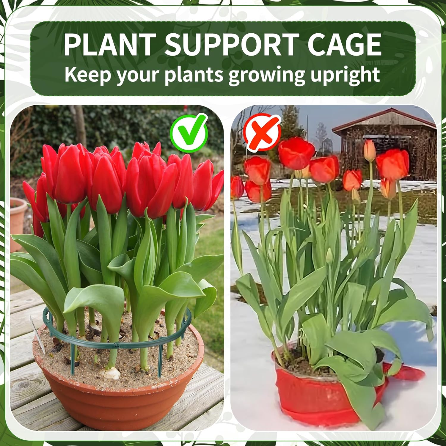 1/16 stuks Plant Support Stake - Vine Climbing Plastic recensie en prijs