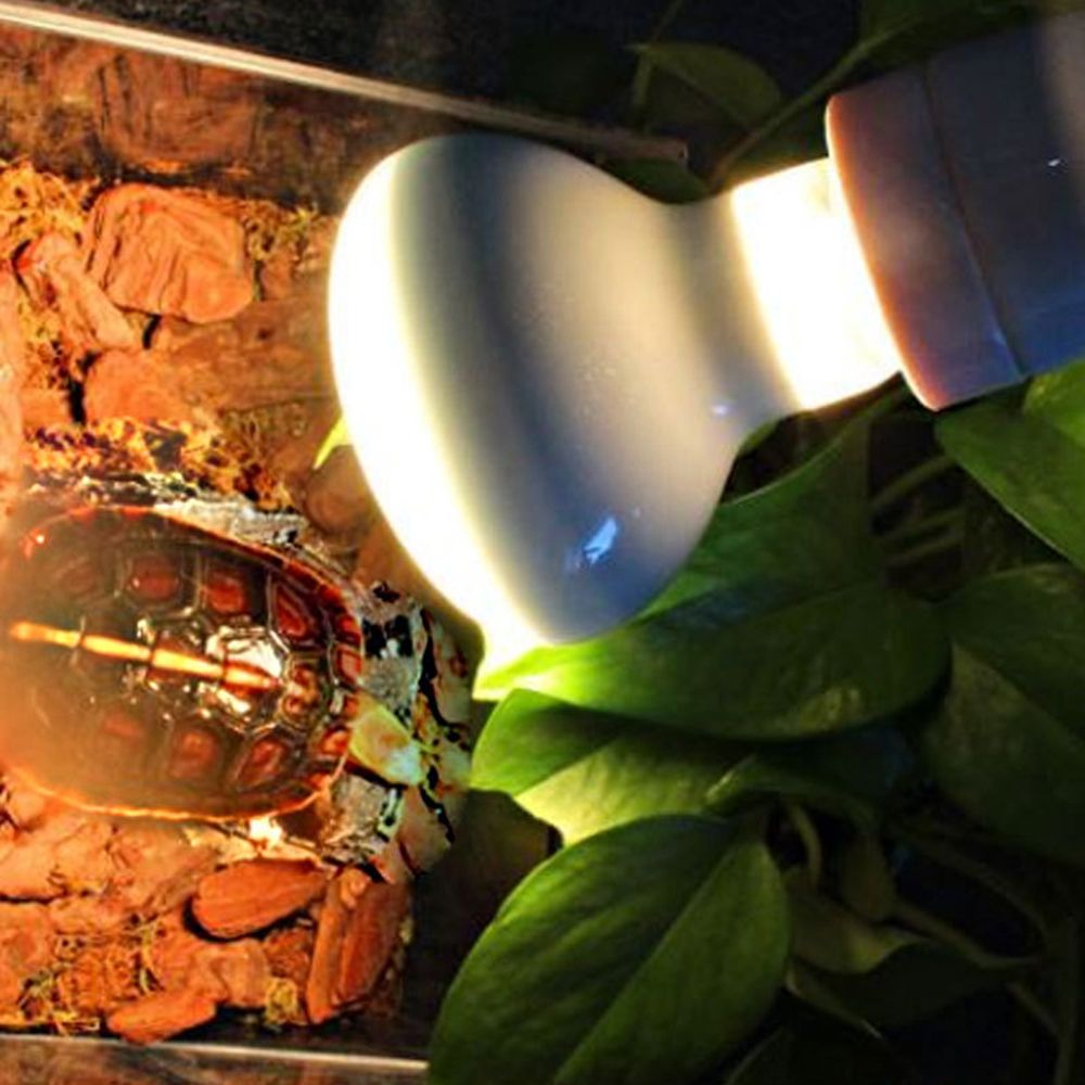 Hagedisverwarmer Temperatuurre - Basking Bulb Halogen recensie en prijs