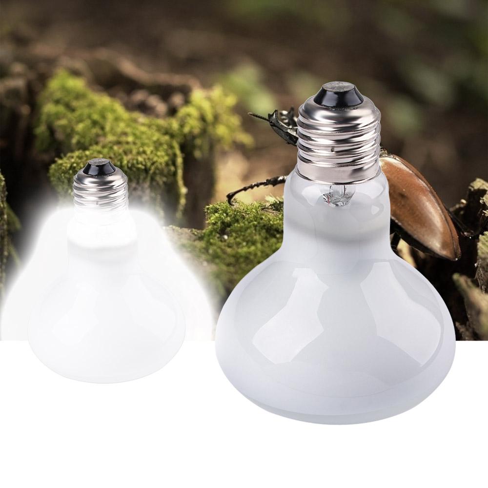 Hagedis Temperatuurregelaar Wa - Basking Bulb Halogen recensie en prijs