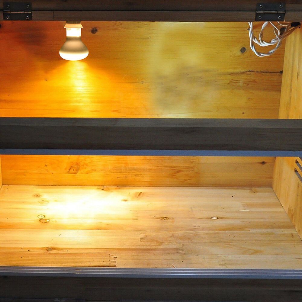 Hagedis Temperatuurregelaar Wa - Basking Bulb Halogen recensie en prijs