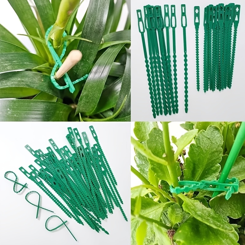 100 stuks herbruikbare verstel - Vine Climbing Plastic recensie en prijs