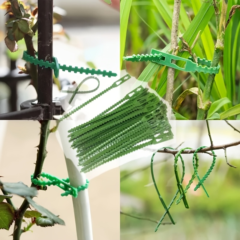 100 stuks herbruikbare verstel - Vine Climbing Plastic recensie en prijs