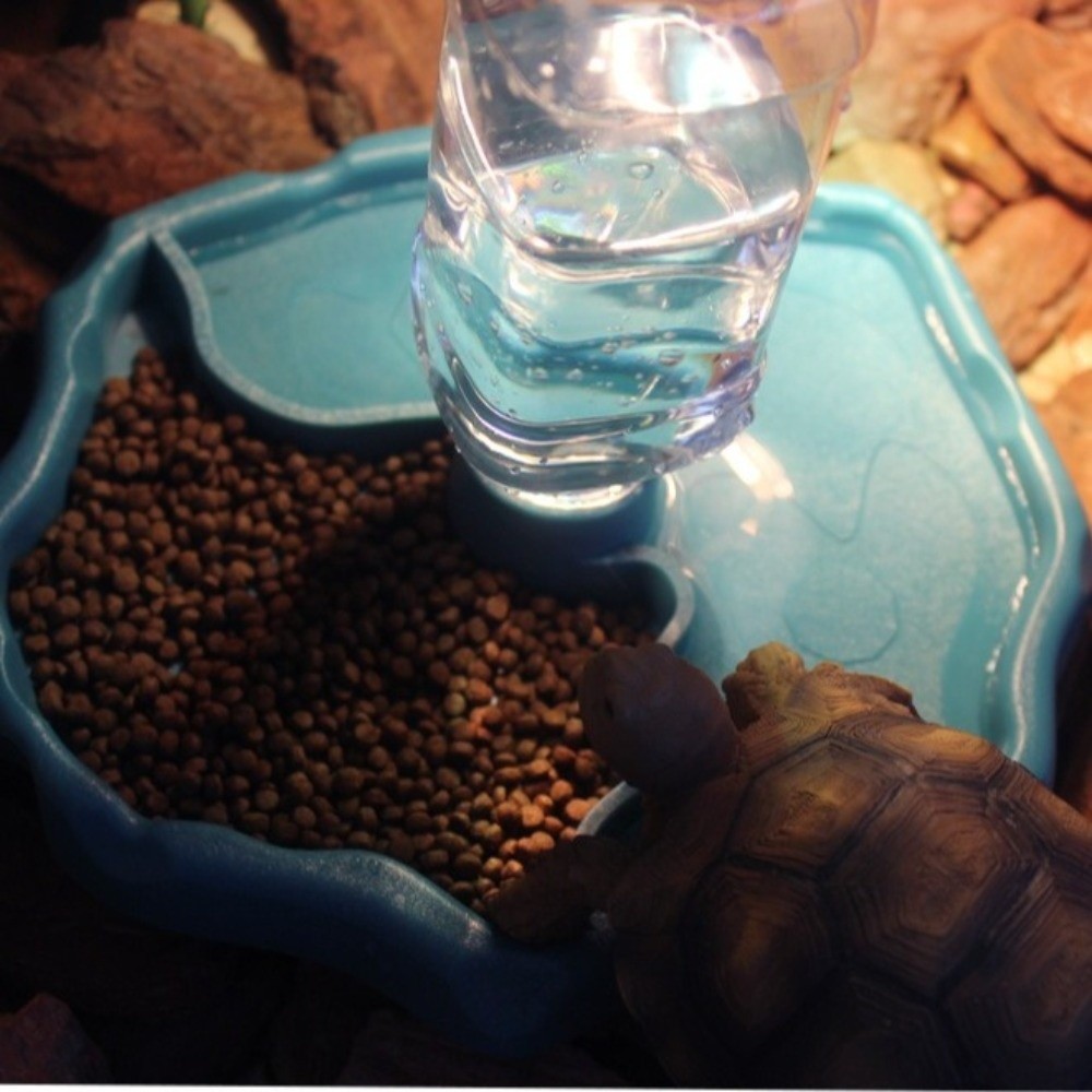 Nieuwe verwijderbare reptielen - Water Dish Reptile recensie en prijs