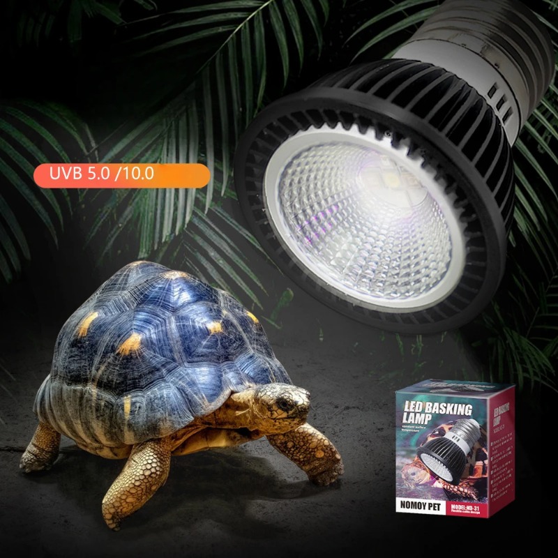 NOMOY Reptiel 110/220 V UVB +  - Calcium Powder Reptile recensie en prijs
