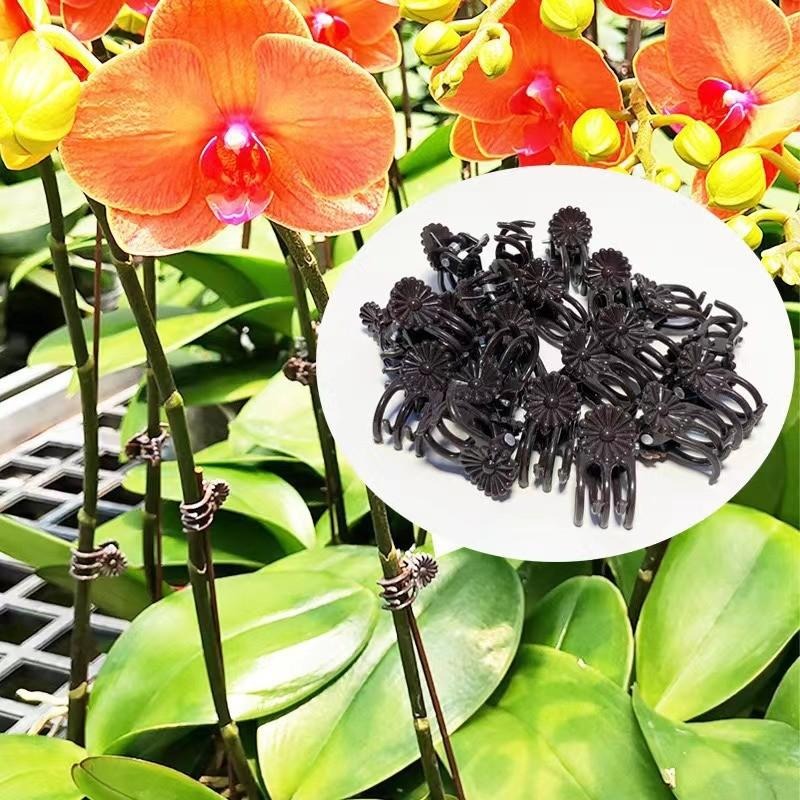 Groothandel Mini Plantensteunc - Vine Climbing Plastic recensie en prijs
