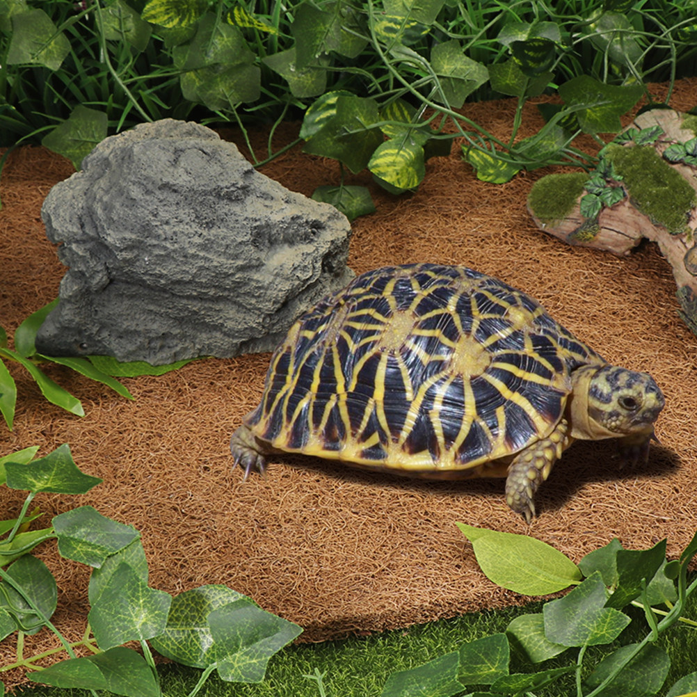 Kokossubstraat voor reptielen, - Substrate Coconut Fiber recensie en prijs