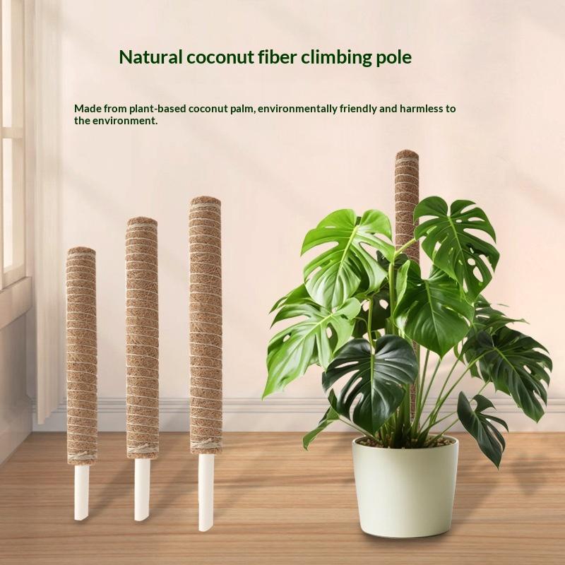 1 Stuks Plantengroei Tractiest - Vine Climbing Plastic recensie en prijs