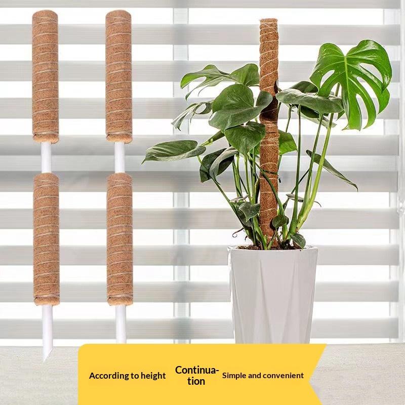 1 Stuks Plantengroei Tractiest - Vine Climbing Plastic recensie en prijs