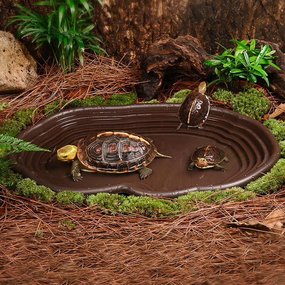 Reptiel Badschotel Amfibieën H - Water Dish Reptile recensie en prijs
