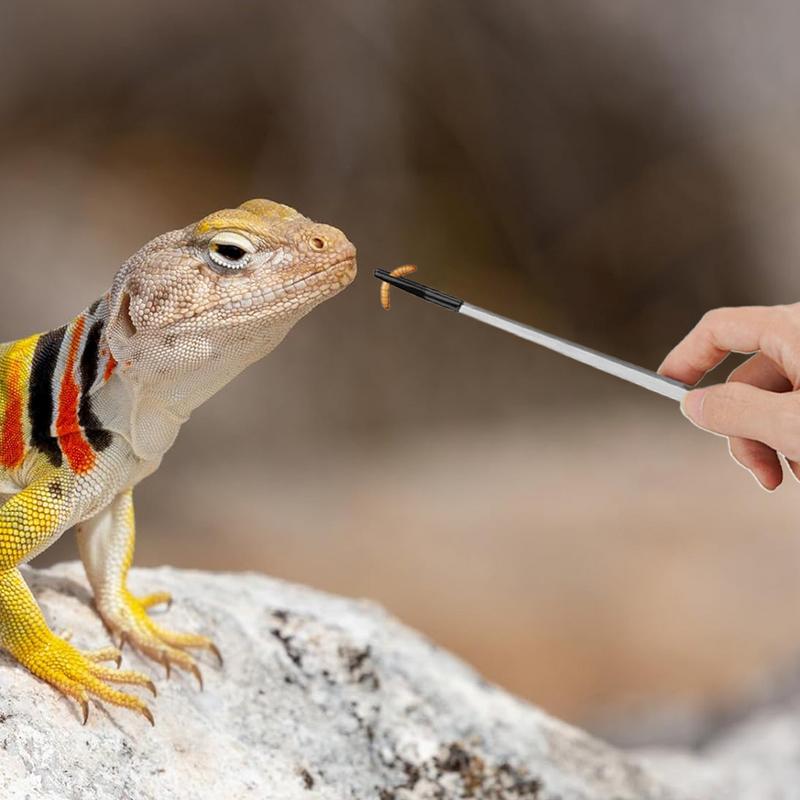 Extra lange reptielenvoertang  - Feeding Tong Stainless recensie en prijs