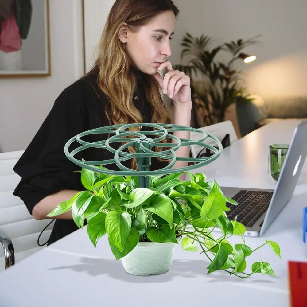 Duurzaam S/M/L Bonsai Klimrek  - Vine Climbing Plastic recensie en prijs