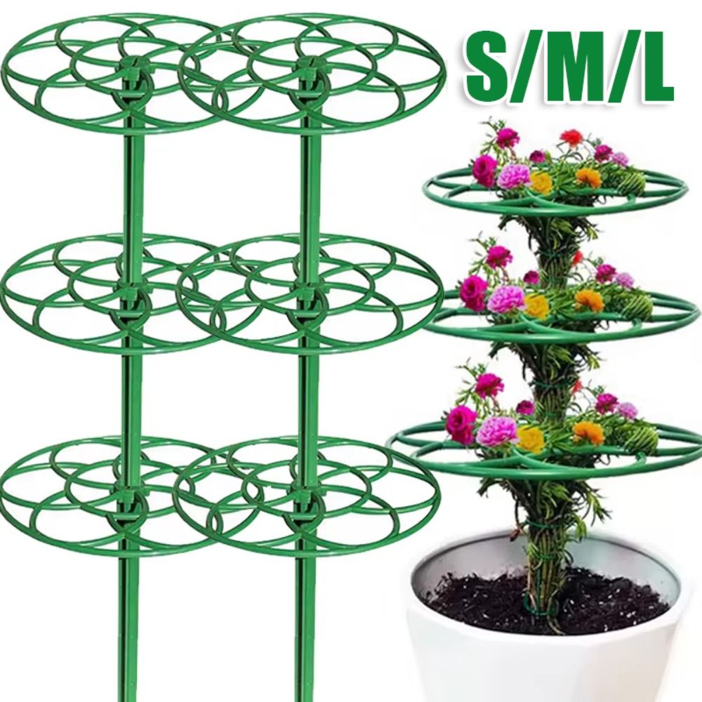 Duurzaam S/M/L Bonsai Klimrek  - Vine Climbing Plastic recensie en prijs
