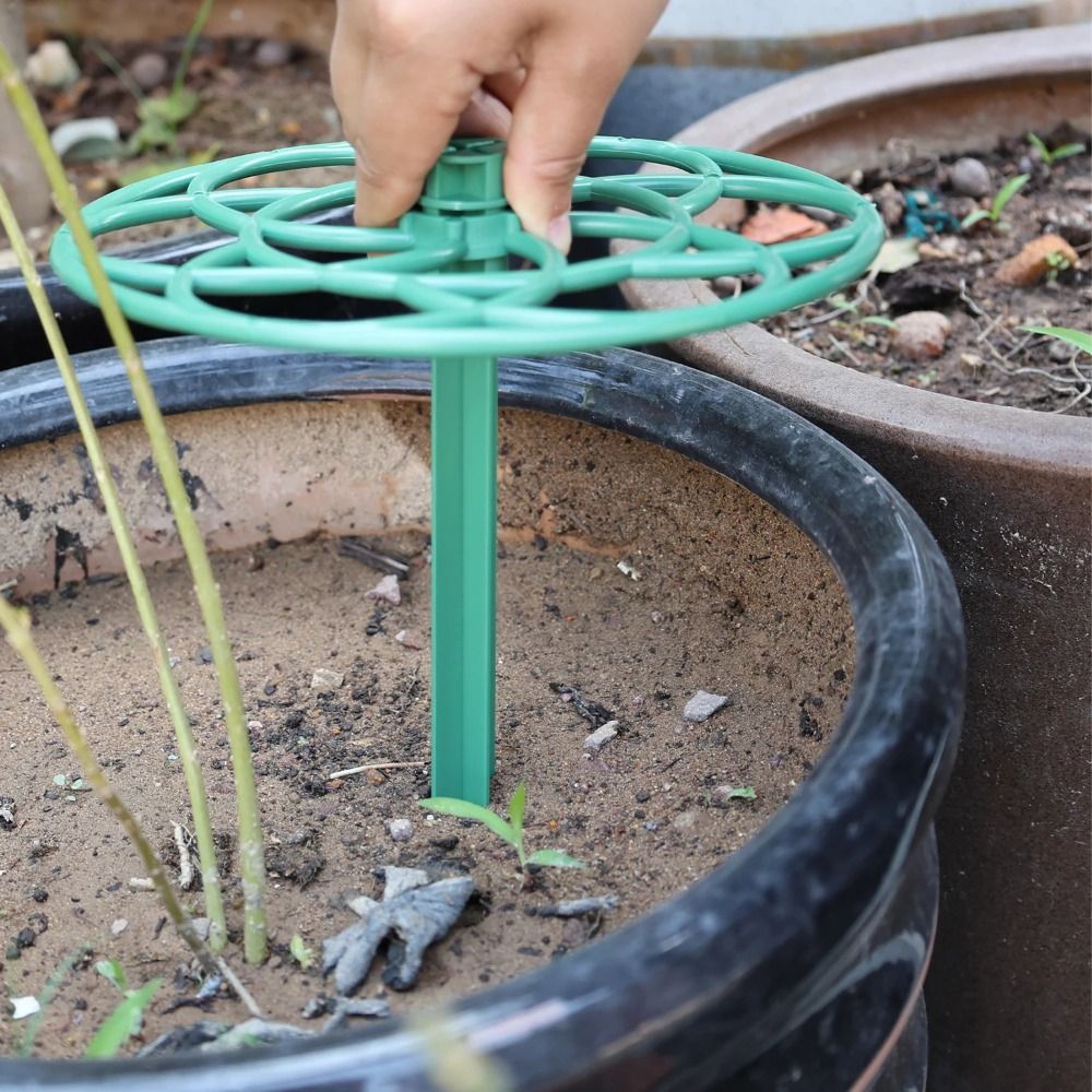 Duurzaam S/M/L Bonsai Klimrek  - Vine Climbing Plastic recensie en prijs