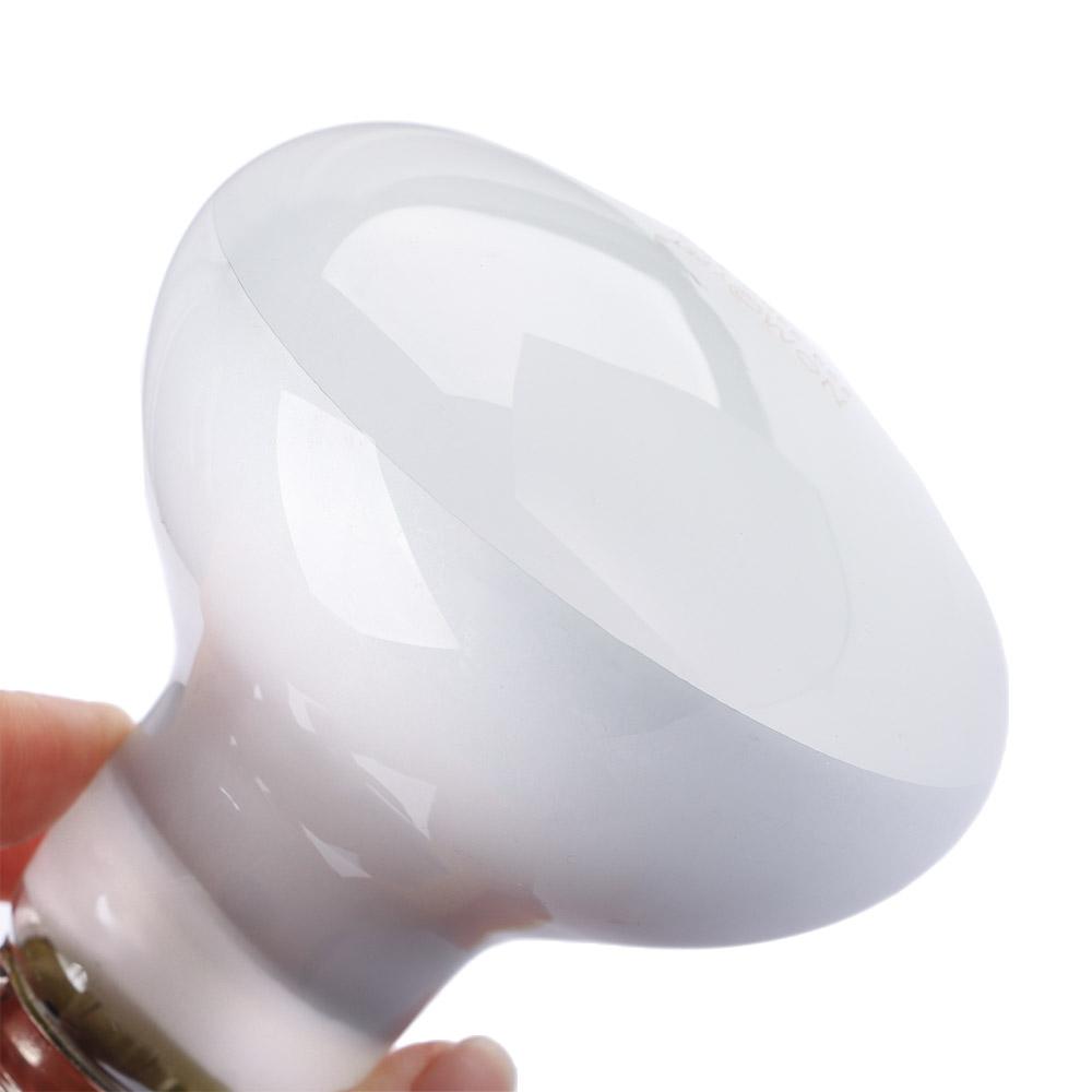 Schildpadverwarmer Warmtelamp  - Basking Bulb Halogen recensie en prijs