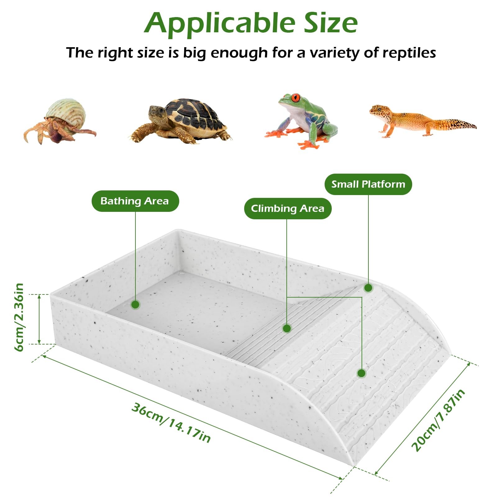 Anti Slip Schildpad Bad Schote - Water Dish Reptile recensie en prijs