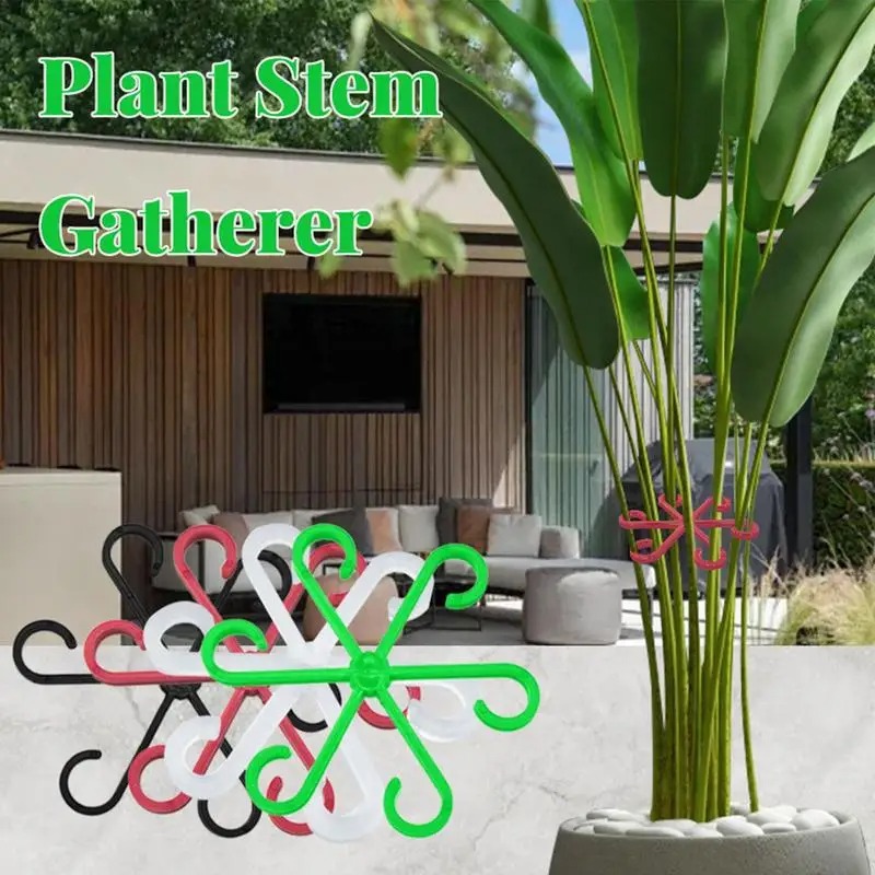Plantenstamklem Monstera Rankb - Vine Climbing Plastic recensie en prijs