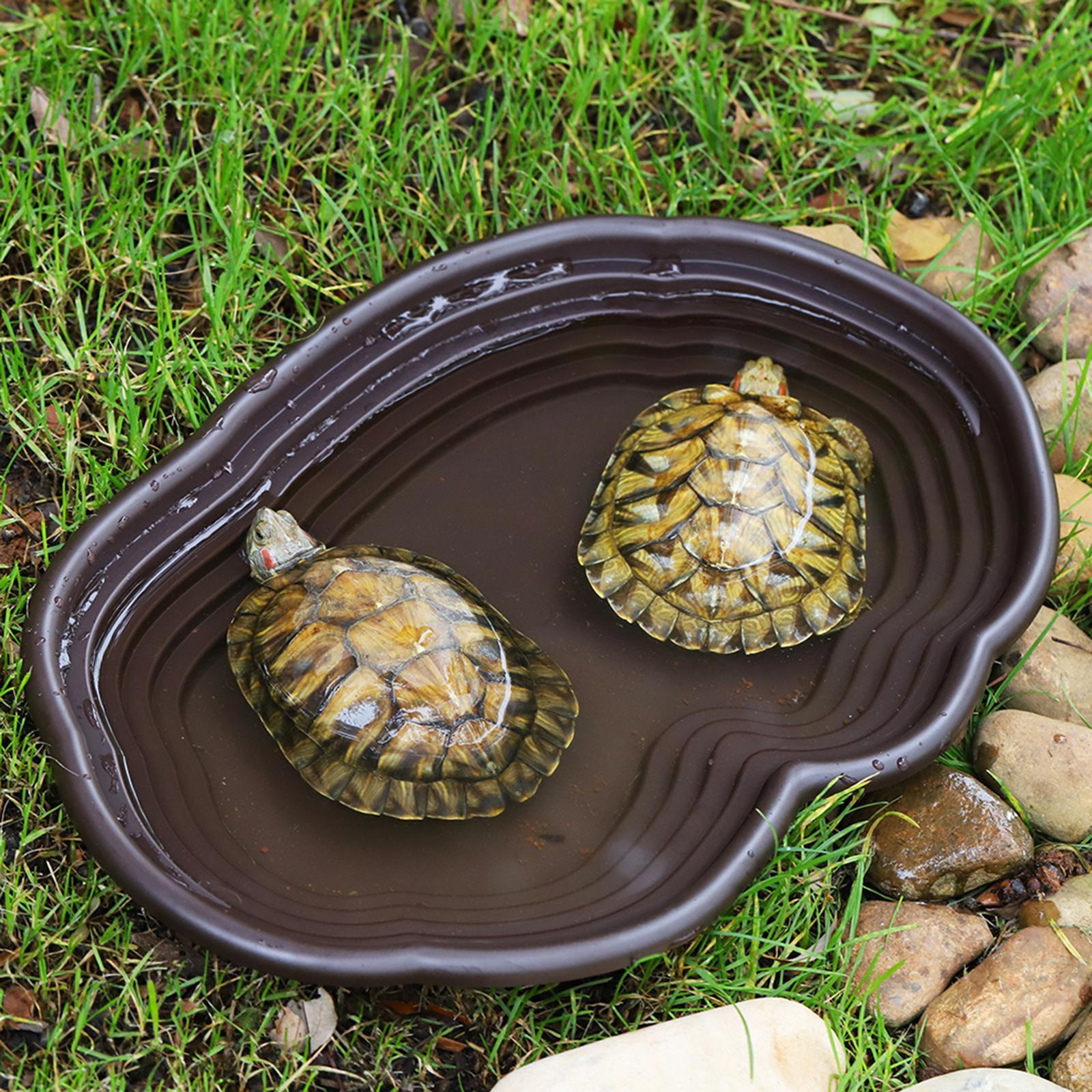 Reptiel Badschotel Schildpad F - Water Dish Reptile recensie en prijs