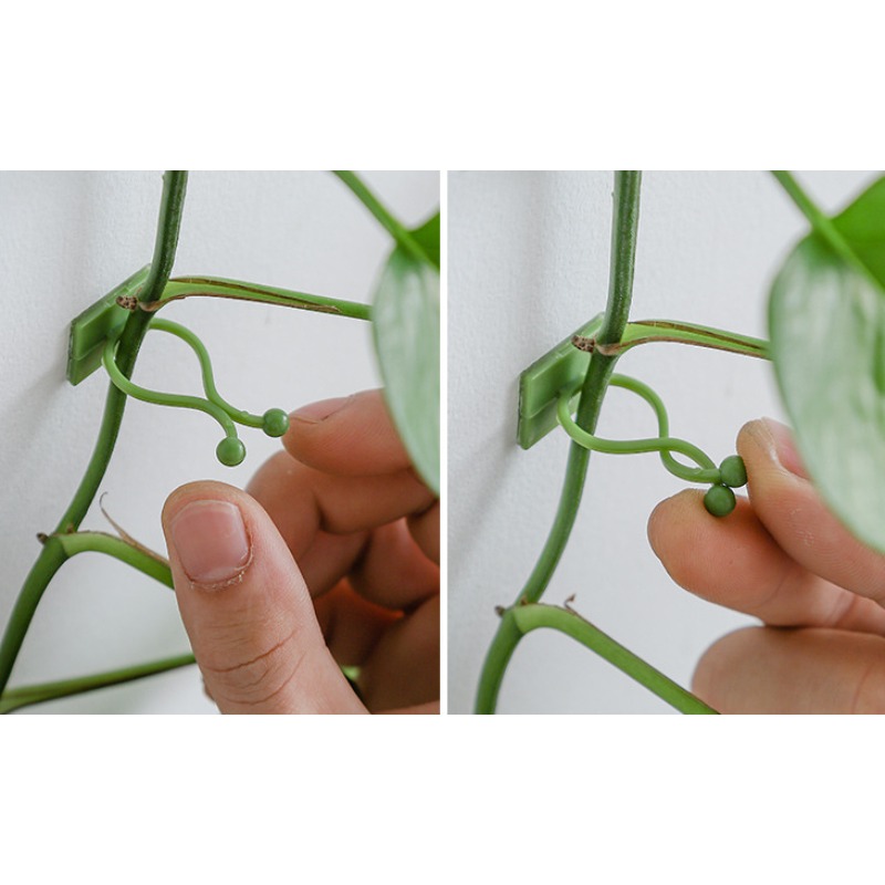 10 stuks plantenmuurbevestigin - Vine Climbing Plastic recensie en prijs