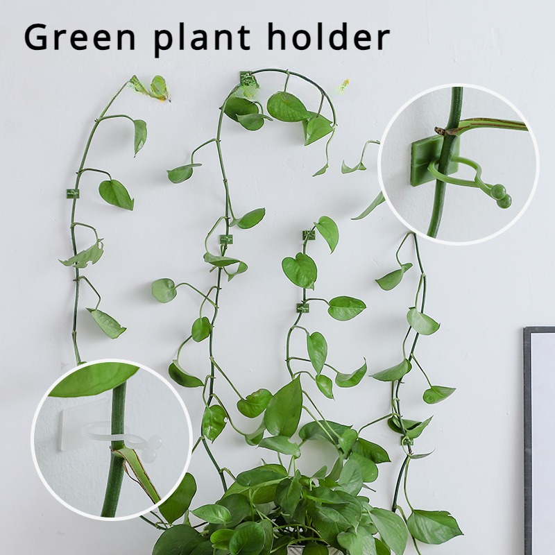10 stuks plantenmuurbevestigin - Vine Climbing Plastic recensie en prijs