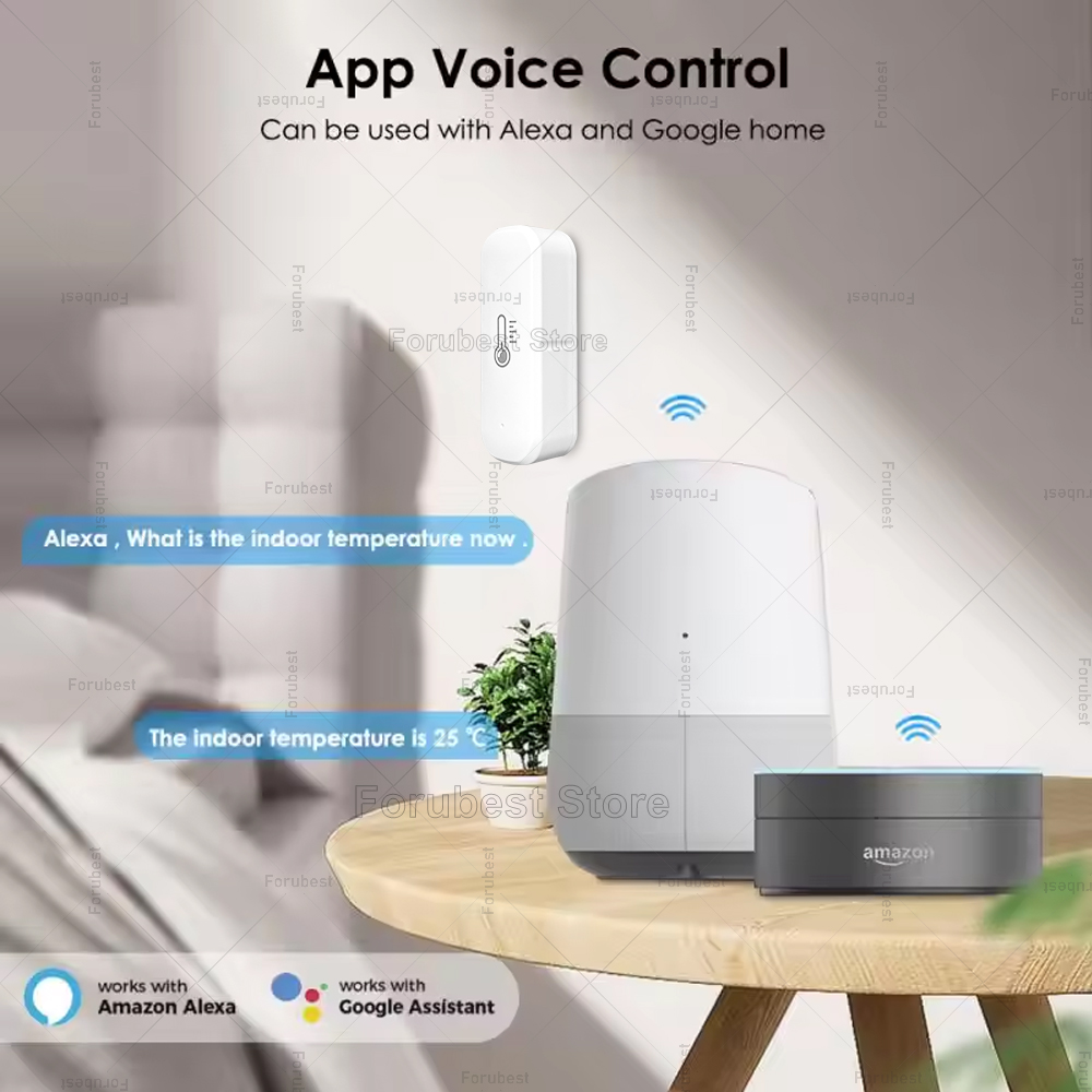 ZigBee temperatuur- en vochtig - Digital Hygrometer Probe recensie en prijs