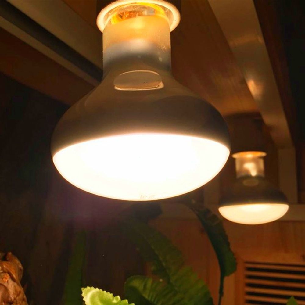 Schildpadverwarmer Temperatuur - Basking Bulb Halogen recensie en prijs