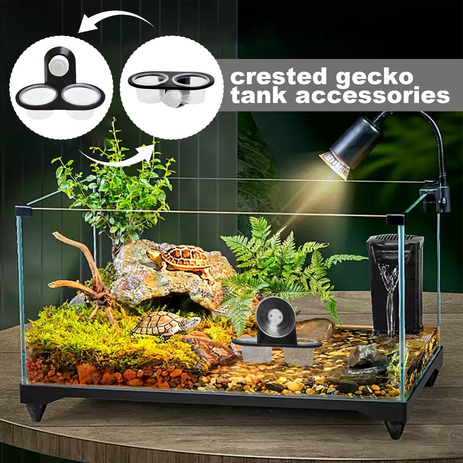 Gecko Voedselbak Gecko Waterba - Water Dish Reptile recensie en prijs