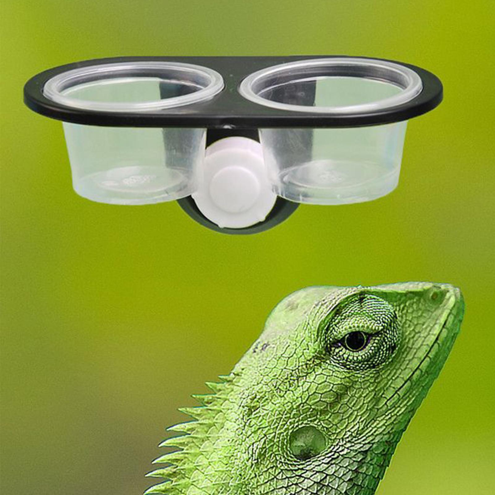 Gecko Voedselbak Gecko Voederb - Water Dish Reptile recensie en prijs