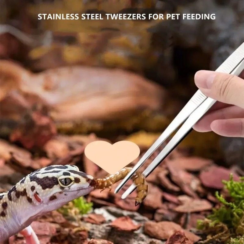 Roestvrij multifunctioneel sta - Feeding Tong Stainless recensie en prijs