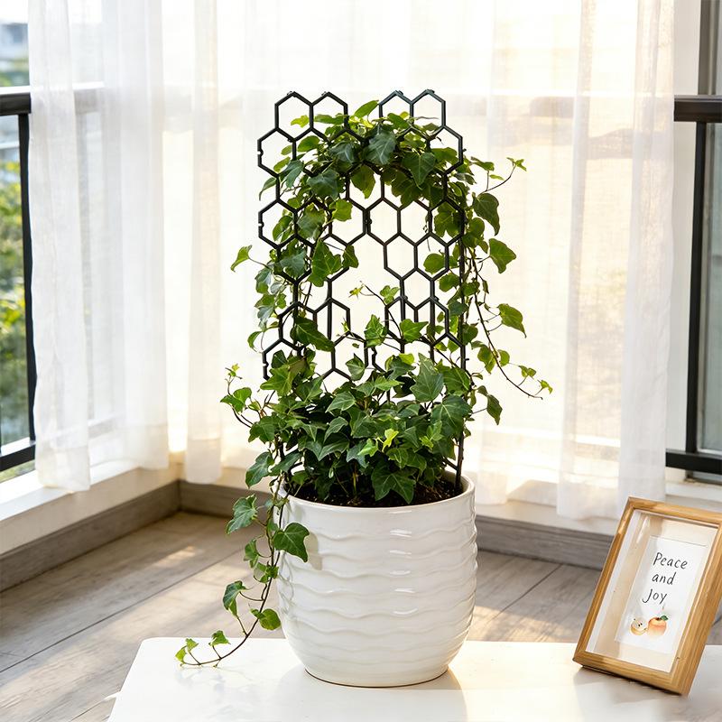 1/5 Stuks Honingraat Design Pl - Vine Climbing Plastic recensie en prijs
