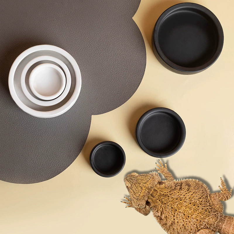 HEET! Reptielen Voederbak Anti - Water Dish Reptile recensie en prijs