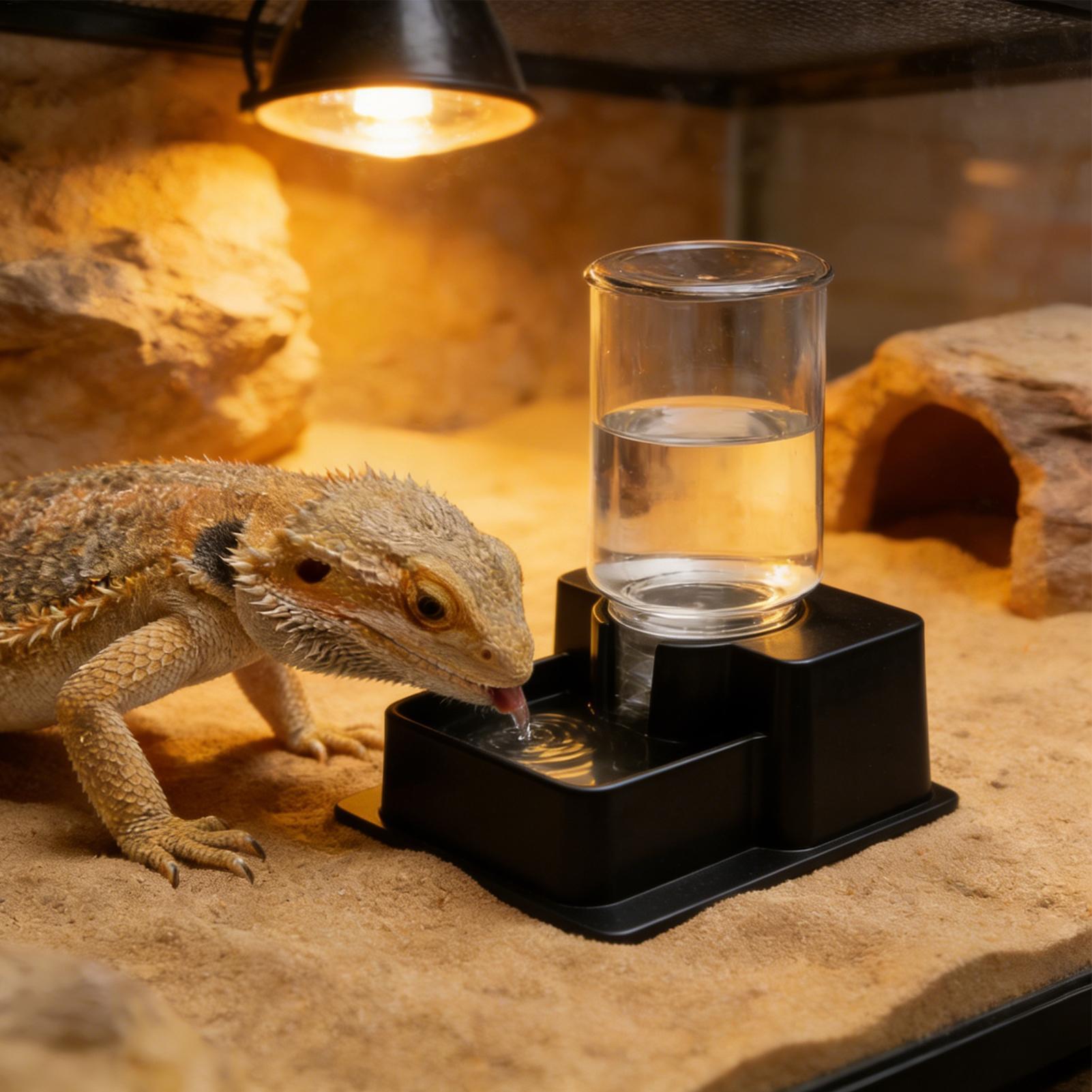 Baardagaam Waterfontein Reptie - Water Dish Reptile recensie en prijs
