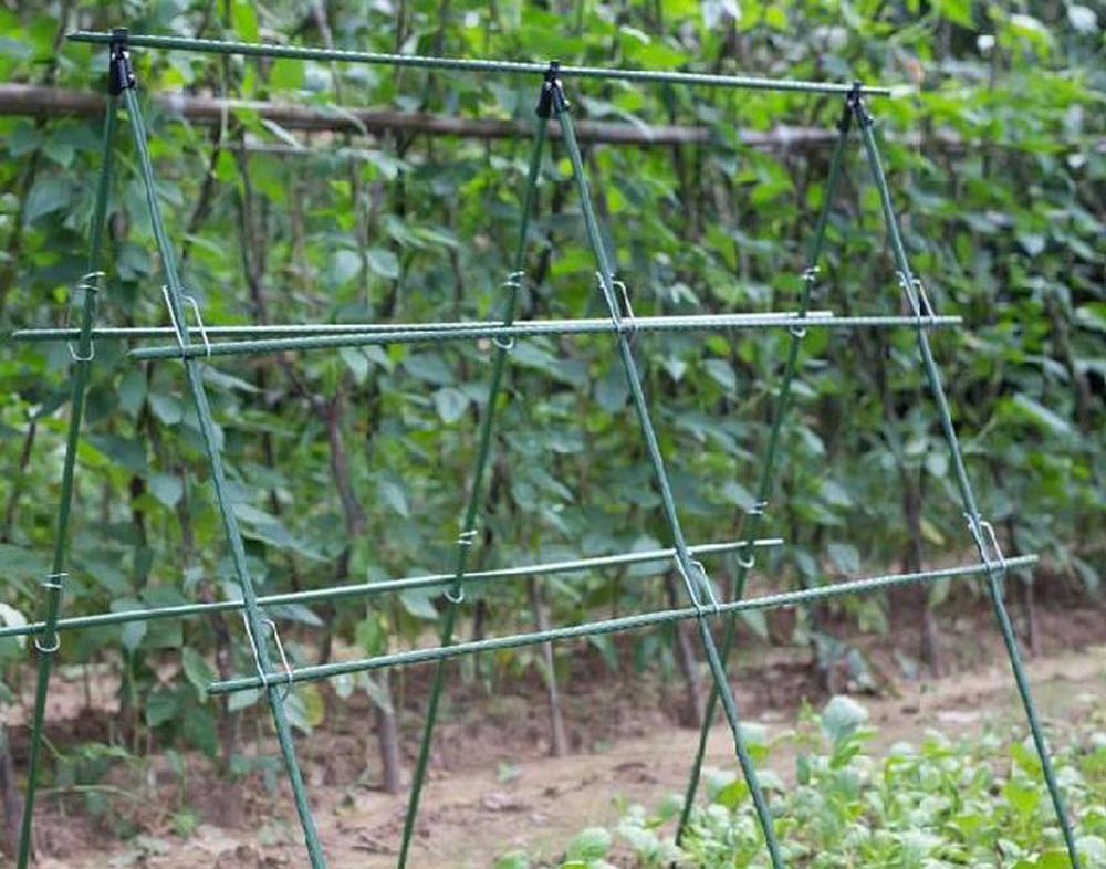 Diameter 8/11/16Mm Plant Onder - Vine Climbing Plastic recensie en prijs